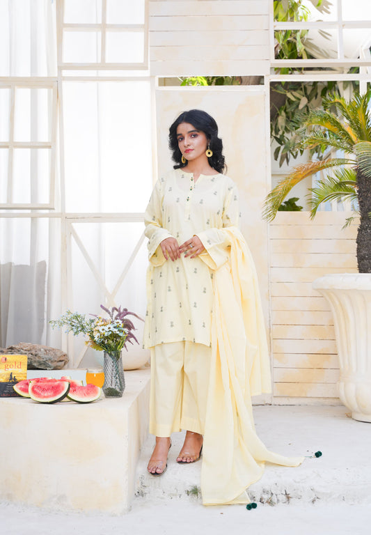 3 Piece Embroidery Lawn (Unstitched)